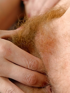 Heidi Hairy Crazy Ants