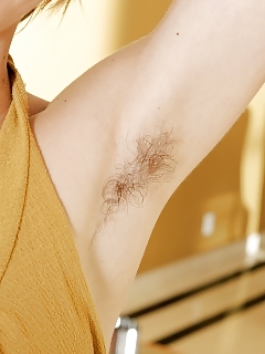 Joe Crazy Hairy Ants