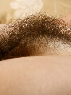 Felix Weatherwood Flower Atk Hairy